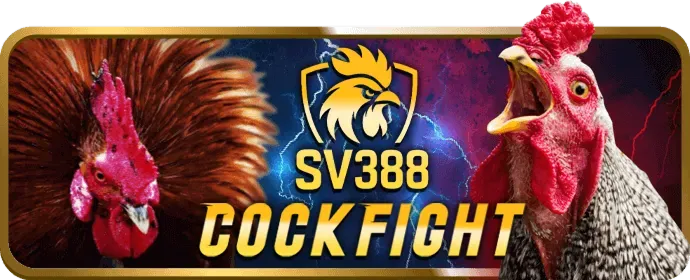 Lợi ích khi đăng ký q99 app